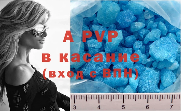 СК Белокуриха