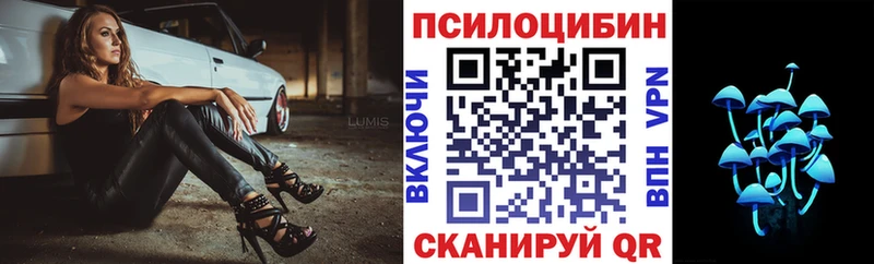 Псилоцибиновые грибы прущие грибы  где купить наркоту  Ершов 